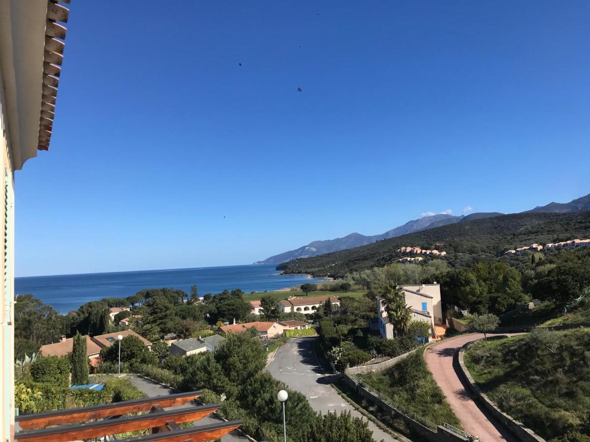 Joli T3 Familial Proche De La * Saint-Florent (Corsica)